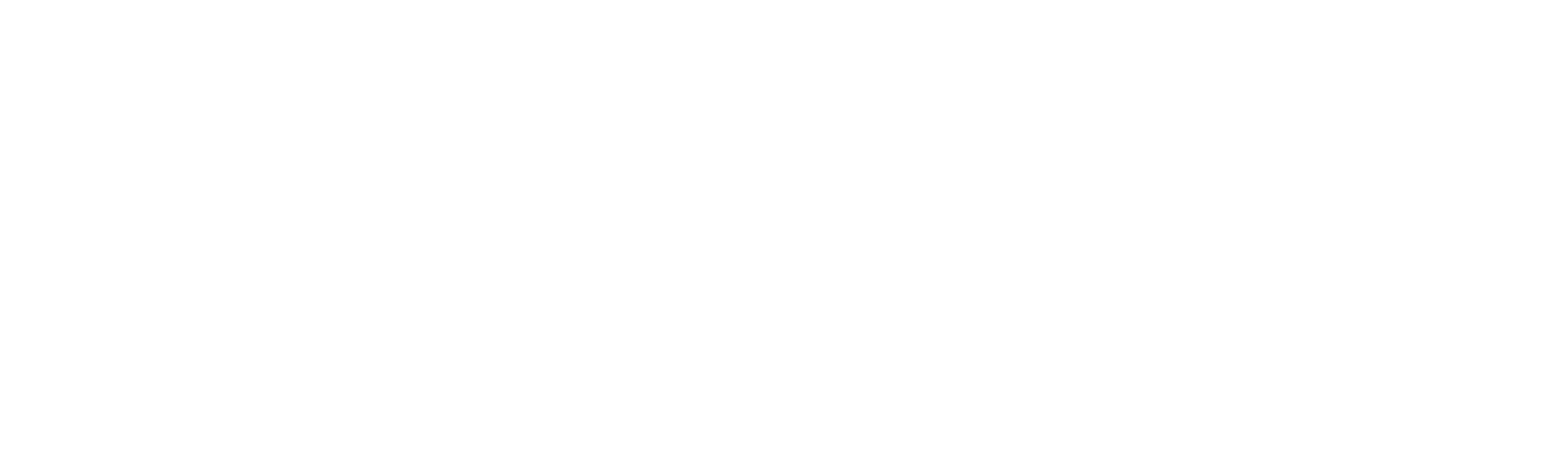 Newstalk Station Logo